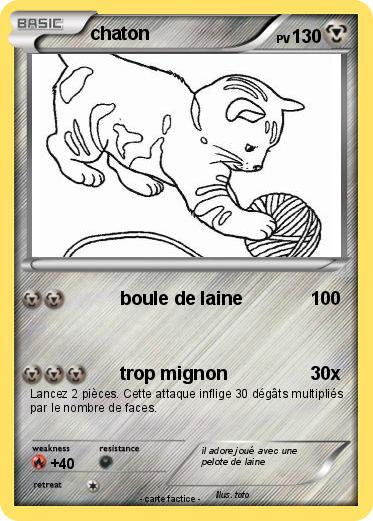 Pokemon chaton