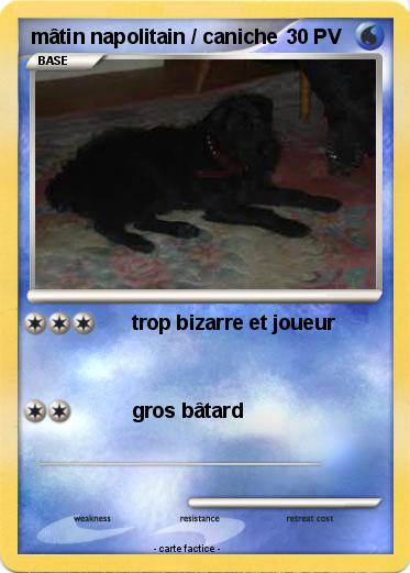 Pokemon mâtin napolitain / caniche