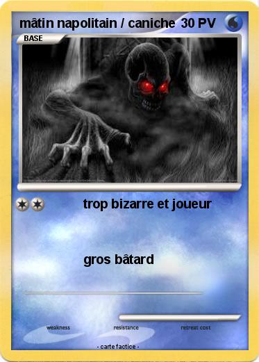 Pokemon mâtin napolitain / caniche