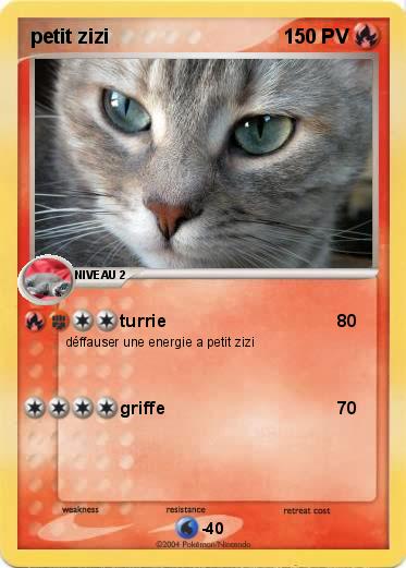 Pokemon petit zizi