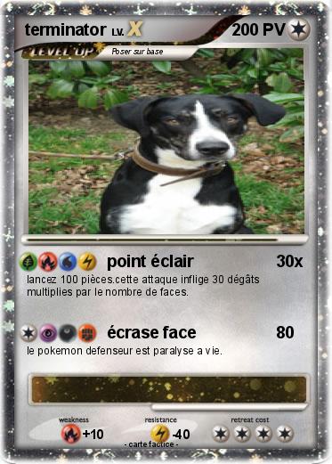 Pokemon terminator