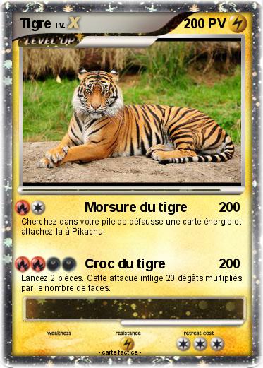Pokemon Tigre