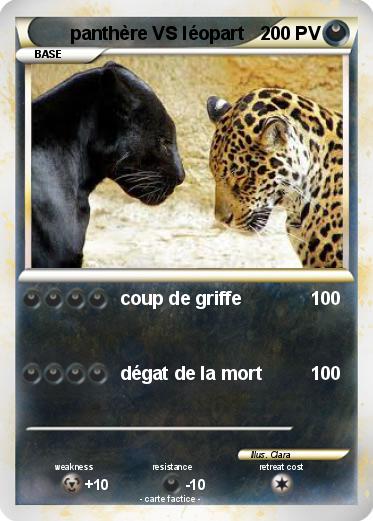 Pokemon panthère VS léopart