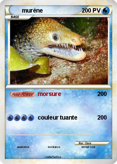 Pokemon murène