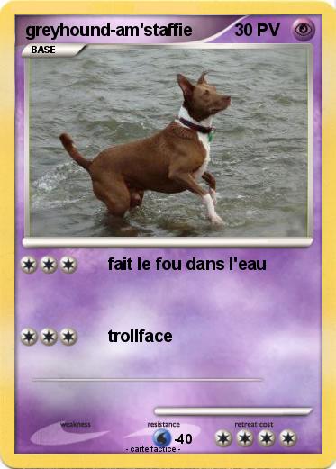 Pokemon greyhound-am'staffie