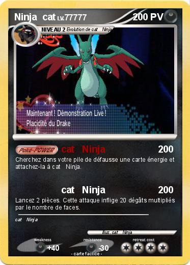 Pokemon Ninja  cat