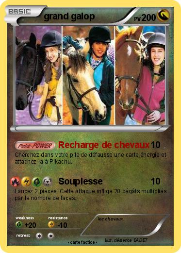 Pokemon grand galop