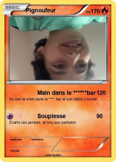 Pokemon Pignoufeur