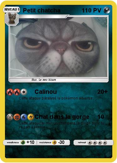 Pokemon Petit chatcha