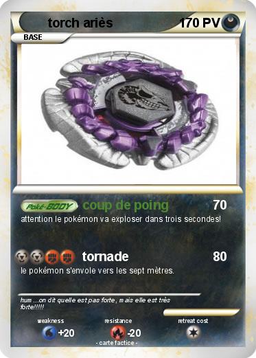 Pokemon torch ariès