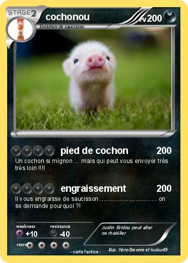 Pokemon cochonou