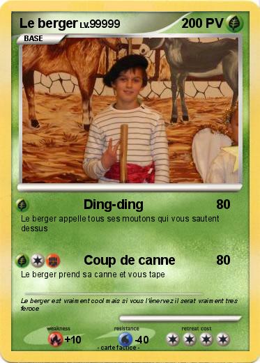 Pokemon Le berger