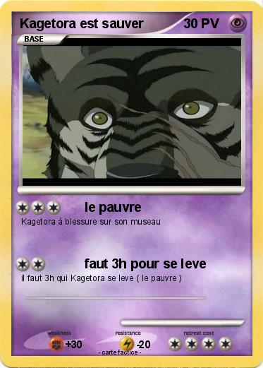 Pokemon Kagetora est sauver