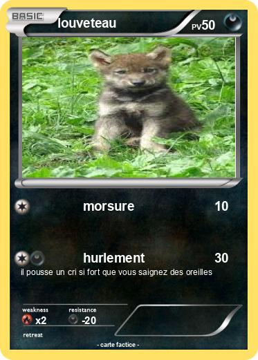 Pokemon louveteau