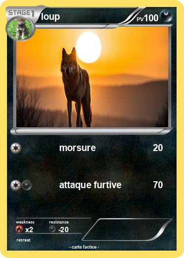 Pokemon loup