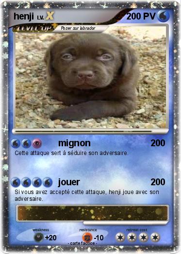 Pokemon henji