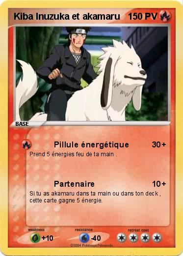 Pokemon Kiba Inuzuka et akamaru