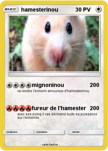 Pokemon hamesterinou