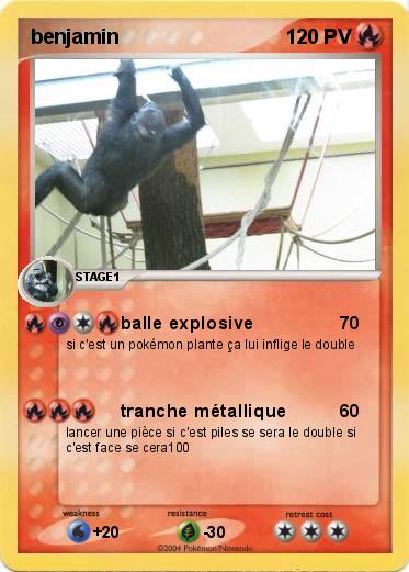 Pokemon benjamin