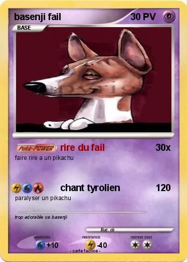 Pokemon basenji fail