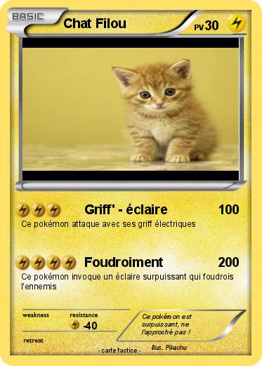 Pokemon Chat Filou