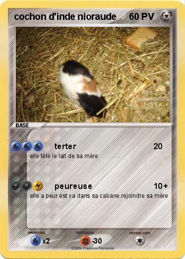 Pokemon cochon d'inde nioraude