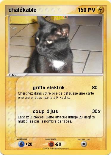Pokemon chatékable
