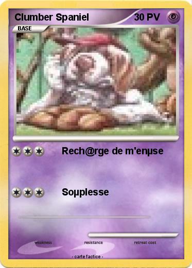 Pokemon Clumber Spaniel