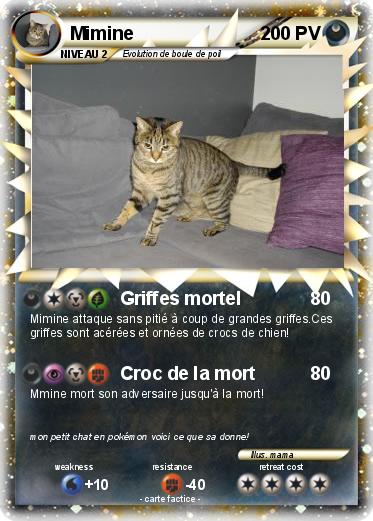 Pokemon Mimine