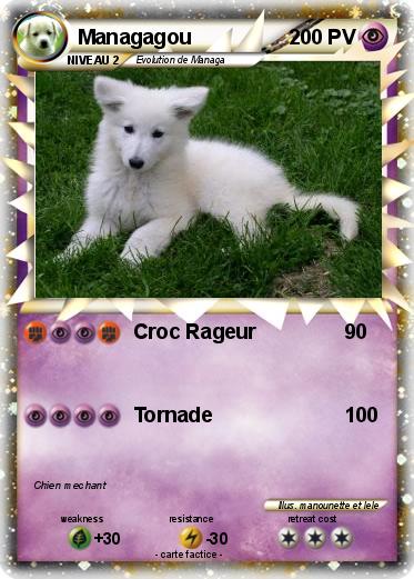 Pokemon Managagou