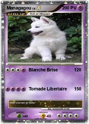 Pokemon Managagou