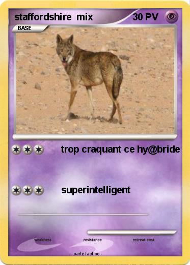 Pokemon staffordshire  mix