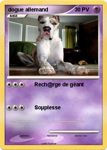 Pokemon dogue allemand