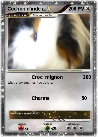 Pokemon Cochon d'inde