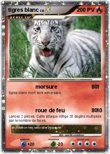 Pokemon tigres blanc