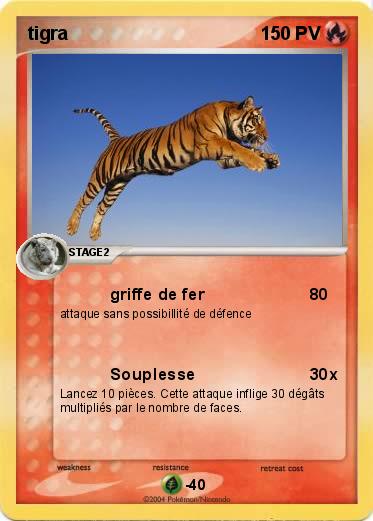 Pokemon tigra