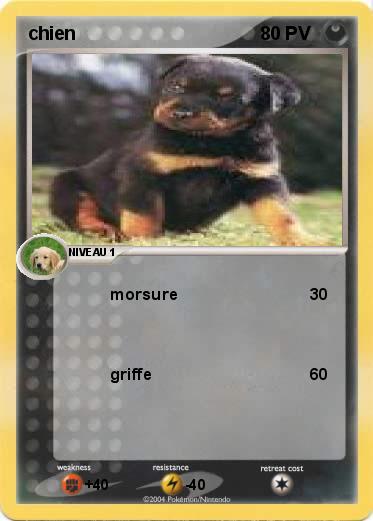 Pokemon chien