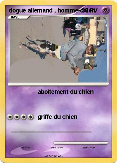 Pokemon dogue allemand , homme-chien