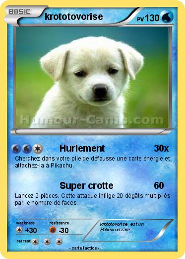 Pokemon krototovorise
