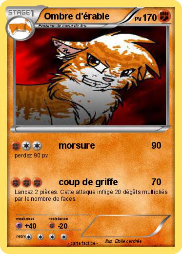 Pokemon Ombre d'érable