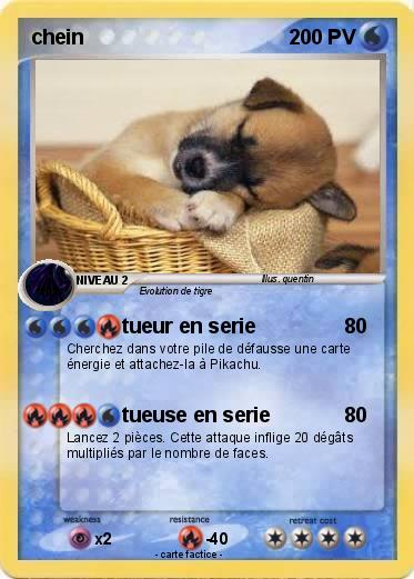 Pokemon chein