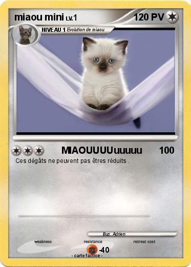 Pokemon miaou mini