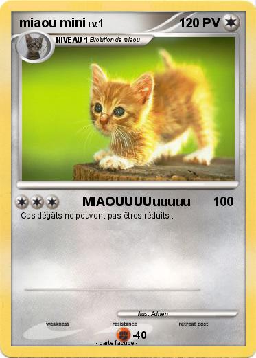 Pokemon miaou mini