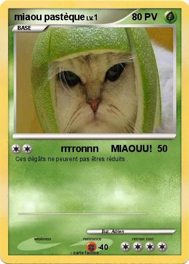 Pokemon miaou pastèque