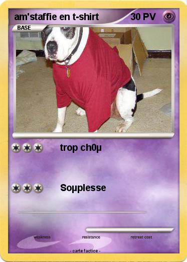 Pokemon am'staffie en t-shirt