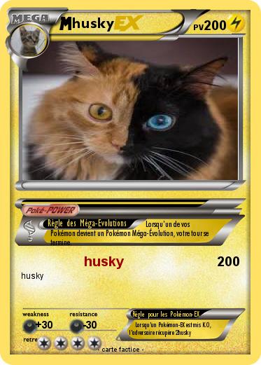 Pokemon husky