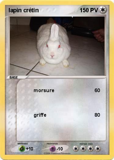 Pokemon lapin crétin