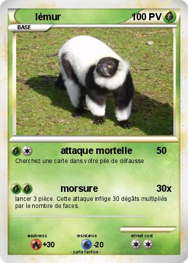 Pokemon lémur