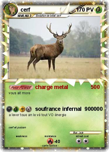 Pokemon cerf