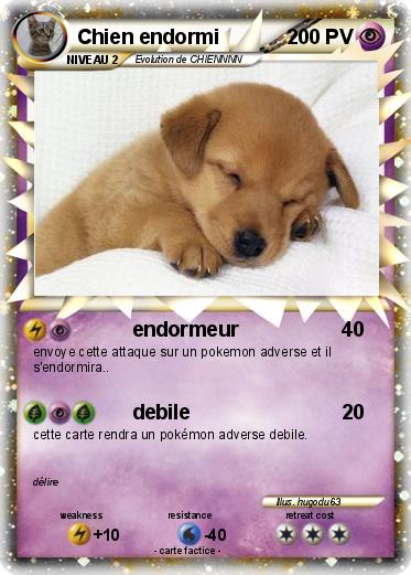 Pokemon Chien endormi